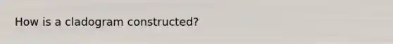 How is a cladogram constructed?