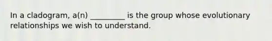 In a cladogram, a(n) _________ is the group whose evolutionary relationships we wish to understand.