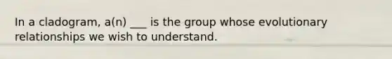 In a cladogram, a(n) ___ is the group whose evolutionary relationships we wish to understand.