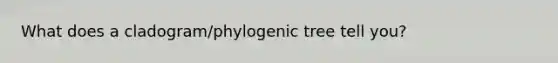 What does a cladogram/phylogenic tree tell you?