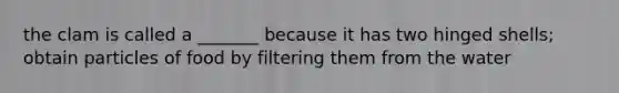the clam is called a _______ because it has two hinged shells; obtain particles of food by filtering them from the water