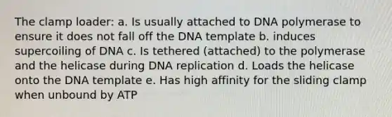 The clamp loader: a. Is usually attached to DNA polymerase to ensure it does not fall off the DNA template b. induces supercoiling of DNA c. Is tethered (attached) to the polymerase and the helicase during DNA replication d. Loads the helicase onto the DNA template e. Has high affinity for the sliding clamp when unbound by ATP