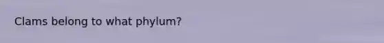 Clams belong to what phylum?