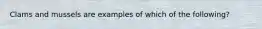 Clams and mussels are examples of which of the following?