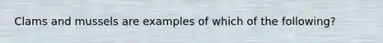 Clams and mussels are examples of which of the following?