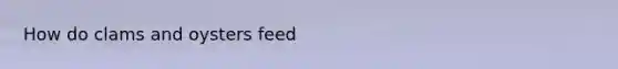 How do clams and oysters feed