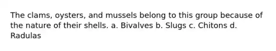The clams, oysters, and mussels belong to this group because of the nature of their shells. a. Bivalves b. Slugs c. Chitons d. Radulas