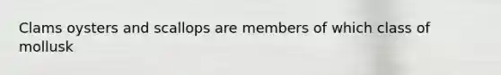 Clams oysters and scallops are members of which class of mollusk