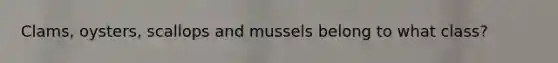 Clams, oysters, scallops and mussels belong to what class?