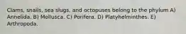 Clams, snails, sea slugs, and octopuses belong to the phylum A) Annelida. B) Mollusca. C) Porifera. D) Platyhelminthes. E) Arthropoda.