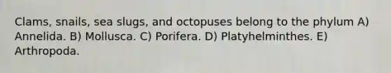 Clams, snails, sea slugs, and octopuses belong to the phylum A) Annelida. B) Mollusca. C) Porifera. D) Platyhelminthes. E) Arthropoda.