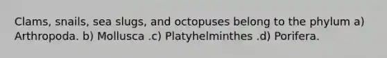 Clams, snails, sea slugs, and octopuses belong to the phylum a) Arthropoda. b) Mollusca .c) Platyhelminthes .d) Porifera.