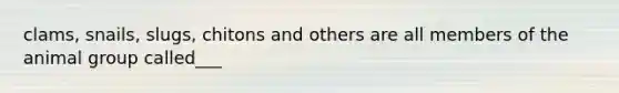 clams, snails, slugs, chitons and others are all members of the animal group called___