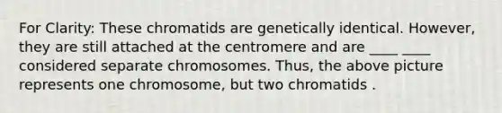 For Clarity: These chromatids are genetically identical. However, they are still attached at the centromere and are ____ ____ considered separate chromosomes. Thus, the above picture represents one chromosome, but two chromatids .