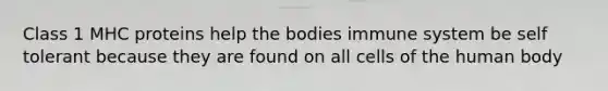 Class 1 MHC proteins help the bodies immune system be self tolerant because they are found on all cells of the human body