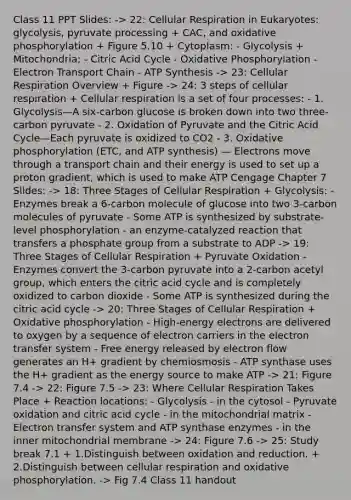 Class 11 PPT Slides: -> 22: Cellular Respiration in Eukaryotes: glycolysis, pyruvate processing + CAC, and oxidative phosphorylation + Figure 5.10 + Cytoplasm: - Glycolysis + Mitochondria: - Citric Acid Cycle - Oxidative Phosphorylation - Electron Transport Chain - ATP Synthesis -> 23: Cellular Respiration Overview + Figure -> 24: 3 steps of cellular respiration + Cellular respiration is a set of four processes: - 1. Glycolysis—A six-carbon glucose is broken down into two three-carbon pyruvate - 2. Oxidation of Pyruvate and the Citric Acid Cycle—Each pyruvate is oxidized to CO2 - 3. Oxidative phosphorylation (ETC, and ATP synthesis) — Electrons move through a transport chain and their energy is used to set up a proton gradient, which is used to make ATP Cengage Chapter 7 Slides: -> 18: Three Stages of Cellular Respiration + Glycolysis: - Enzymes break a 6-carbon molecule of glucose into two 3-carbon molecules of pyruvate - Some ATP is synthesized by substrate-level phosphorylation - an enzyme-catalyzed reaction that transfers a phosphate group from a substrate to ADP -> 19: Three Stages of Cellular Respiration + Pyruvate Oxidation - Enzymes convert the 3-carbon pyruvate into a 2-carbon acetyl group, which enters the citric acid cycle and is completely oxidized to carbon dioxide - Some ATP is synthesized during the citric acid cycle -> 20: Three Stages of Cellular Respiration + Oxidative phosphorylation - High-energy electrons are delivered to oxygen by a sequence of electron carriers in the electron transfer system - Free energy released by electron flow generates an H+ gradient by chemiosmosis - ATP synthase uses the H+ gradient as the energy source to make ATP -> 21: Figure 7.4 -> 22: Figure 7.5 -> 23: Where Cellular Respiration Takes Place + Reaction locations: - Glycolysis - in the cytosol - Pyruvate oxidation and citric acid cycle - in the mitochondrial matrix - Electron transfer system and ATP synthase enzymes - in the inner mitochondrial membrane -> 24: Figure 7.6 -> 25: Study break 7.1 + 1.Distinguish between oxidation and reduction. + 2.Distinguish between cellular respiration and oxidative phosphorylation. -> Fig 7.4 Class 11 handout