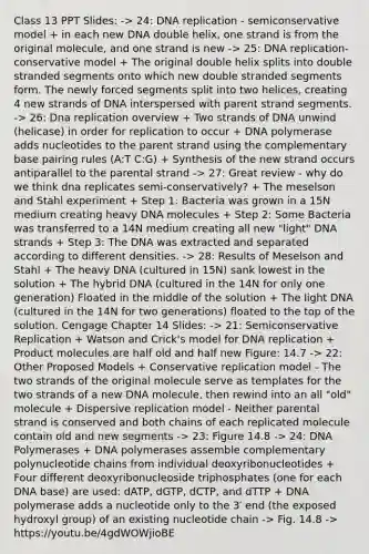 Class 13 PPT Slides: -> 24: DNA replication - semiconservative model + in each new DNA double helix, one strand is from the original molecule, and one strand is new -> 25: DNA replication- conservative model + The original double helix splits into double stranded segments onto which new double stranded segments form. The newly forced segments split into two helices, creating 4 new strands of DNA interspersed with parent strand segments. -> 26: Dna replication overview + Two strands of DNA unwind (helicase) in order for replication to occur + DNA polymerase adds nucleotides to the parent strand using the complementary base pairing rules (A:T C:G) + Synthesis of the new strand occurs antiparallel to the parental strand -> 27: Great review - why do we think dna replicates semi-conservatively? + The meselson and Stahl experiment + Step 1: Bacteria was grown in a 15N medium creating heavy DNA molecules + Step 2: Some Bacteria was transferred to a 14N medium creating all new "light" DNA strands + Step 3: The DNA was extracted and separated according to different densities. -> 28: Results of Meselson and Stahl + The heavy DNA (cultured in 15N) sank lowest in the solution + The hybrid DNA (cultured in the 14N for only one generation) Floated in the middle of the solution + The light DNA (cultured in the 14N for two generations) floated to the top of the solution. Cengage Chapter 14 Slides: -> 21: Semiconservative Replication + Watson and Crick's model for DNA replication + Product molecules are half old and half new Figure: 14.7 -> 22: Other Proposed Models + Conservative replication model - The two strands of the original molecule serve as templates for the two strands of a new DNA molecule, then rewind into an all "old" molecule + Dispersive replication model - Neither parental strand is conserved and both chains of each replicated molecule contain old and new segments -> 23: Figure 14.8 -> 24: DNA Polymerases + DNA polymerases assemble complementary polynucleotide chains from individual deoxyribonucleotides + Four different deoxyribonucleoside triphosphates (one for each DNA base) are used: dATP, dGTP, dCTP, and dTTP + DNA polymerase adds a nucleotide only to the 3′ end (the exposed hydroxyl group) of an existing nucleotide chain -> Fig. 14.8 -> https://youtu.be/4gdWOWjioBE