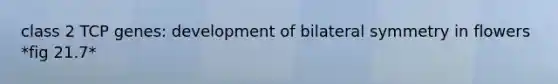 class 2 TCP genes: development of bilateral symmetry in flowers *fig 21.7*