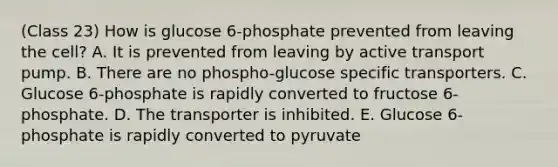 (Class 23) How is glucose 6-phosphate prevented from leaving the cell? A. It is prevented from leaving by active transport pump. B. There are no phospho-glucose specific transporters. C. Glucose 6-phosphate is rapidly converted to fructose 6- phosphate. D. The transporter is inhibited. E. Glucose 6-phosphate is rapidly converted to pyruvate