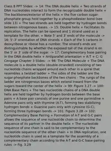 Class 8 PPT Slides: -> 14: The DNA double helix + Two strands of DNA nucleotides interact to form the recognizable double helix + The backbones/exterior of the helix = the five carbon sugar-phosphate group held together by a phosphodiester bond (see slide 13) + The two strands are held together by hydrogen bonds between nitrogenous bases. -> 15: Double helix + Facilitates its replication. The helix can be opened and 1 strand used as a template for the other. + Note 5' and 3' ends of the molecule -> 16: 5'-3' orientation of DNA strands + Each of the 5 carbons in deoxyribose or ribose has a number. The strand's ends are distinguishable by whether the exposed tail of the strand is on the 5' or 3' side of the sugar. -> 17: Complementary base pairing in the DNA double helix + Antiparallel orientation + A:T + C: G Cengage Chapter 3 Slides: -> 98: The DNA Molecule + The DNA molecule is a double helix (double-stranded) consisting of two nucleotide chains wrapped around each other in a spiral that resembles a twisted ladder + The sides of the ladder are the sugar-phosphate backbones of the two chains - The rungs of the ladder are nitrogenous bases which extend inward from the sugars toward the center of the helix -> 99: Figure 3.27 -> 100: DNA Base Pairs + The two nucleotide chains of a DNA double helix are held together by hydrogen bonds between the base pairs + A base pair consists of one purine and one pyrimidine + Adenine pairs only with thymine (A-T), forming two stabilizing hydrogen bonds + Guanine pairs only with cytosine (G-C), forming three hydrogen bonds -> 101: Figure 3.28 -> 102: Complementary Base Pairing + Formation of A-T and G-C pairs allows the sequence of one nucleotide chain to determine the sequence of its partner in the double helix + The nucleotide sequence of one chain is said to be complementary to the nucleotide sequence of the other chain + In DNA replication, one nucleotide chain is used as a template for the assembly of a complementary chain according to the A-T and G-C base-pairing rules -> Fig. 3.29