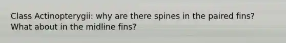 Class Actinopterygii: why are there spines in the paired fins? What about in the midline fins?