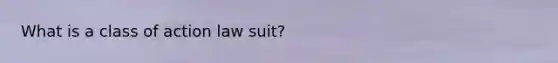 What is a class of action law suit?