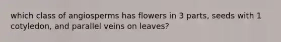 which class of angiosperms has flowers in 3 parts, seeds with 1 cotyledon, and parallel veins on leaves?