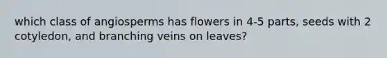 which class of angiosperms has flowers in 4-5 parts, seeds with 2 cotyledon, and branching veins on leaves?