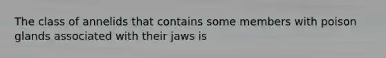 The class of annelids that contains some members with poison glands associated with their jaws is