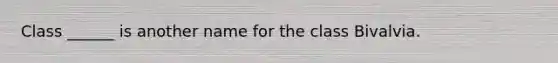 Class ______ is another name for the class Bivalvia.