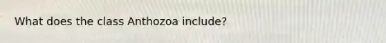 What does the class Anthozoa include?