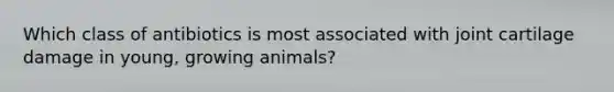 Which class of antibiotics is most associated with joint cartilage damage in young, growing animals?