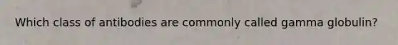 Which class of antibodies are commonly called gamma globulin?