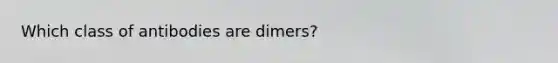 Which class of antibodies are dimers?