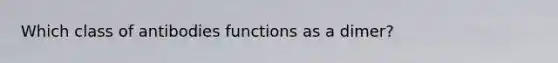 Which class of antibodies functions as a dimer?