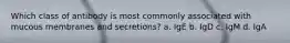 Which class of antibody is most commonly associated with mucous membranes and secretions? a. IgE b. IgD c. IgM d. IgA