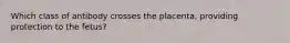 Which class of antibody crosses the placenta, providing protection to the fetus?