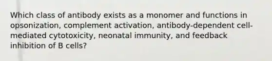 Which class of antibody exists as a monomer and functions in opsonization, complement activation, antibody-dependent cell-mediated cytotoxicity, neonatal immunity, and feedback inhibition of B cells?