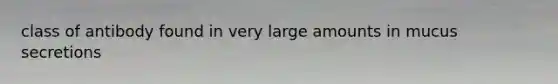class of antibody found in very large amounts in mucus secretions