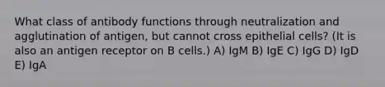 What class of antibody functions through neutralization and agglutination of antigen, but cannot cross epithelial cells? (It is also an antigen receptor on B cells.) A) IgM B) IgE C) IgG D) IgD E) IgA