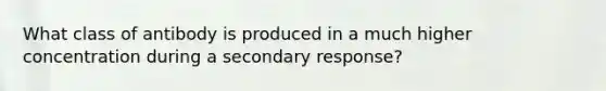 What class of antibody is produced in a much higher concentration during a secondary response?