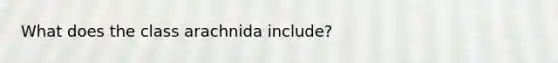 What does the class arachnida include?