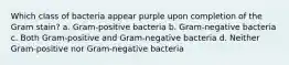 Which class of bacteria appear purple upon completion of the Gram stain? a. Gram-positive bacteria b. Gram-negative bacteria c. Both Gram-positive and Gram-negative bacteria d. Neither Gram-positive nor Gram-negative bacteria