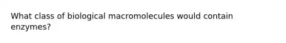 What class of biological macromolecules would contain enzymes?