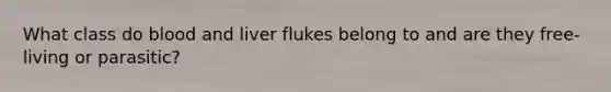 What class do blood and liver flukes belong to and are they free-living or parasitic?