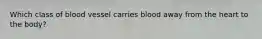 Which class of blood vessel carries blood away from the heart to the body?