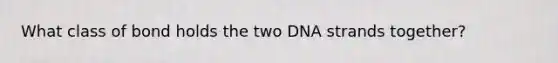 What class of bond holds the two DNA strands together?