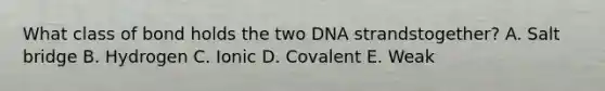 What class of bond holds the two DNA strandstogether? A. Salt bridge B. Hydrogen C. Ionic D. Covalent E. Weak