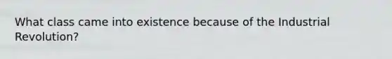 What class came into existence because of the Industrial Revolution?