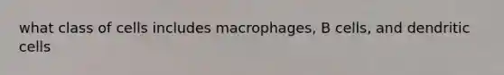 what class of cells includes macrophages, B cells, and dendritic cells